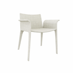 DINING ARMCHAIR WITH CUSHION (AHO/018/002)