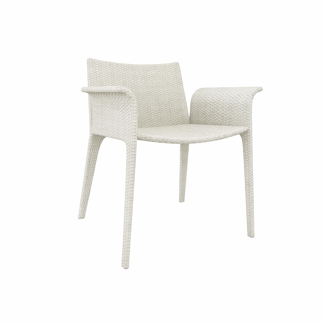 DINING ARMCHAIR WITH CUSHION (AHO/018/002)