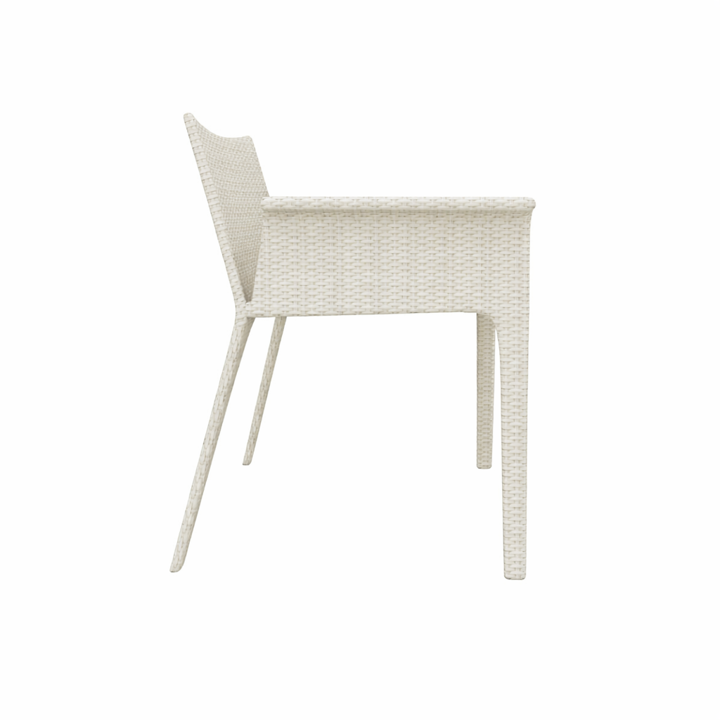 DINING ARMCHAIR WITH CUSHION (AHO/018/002)