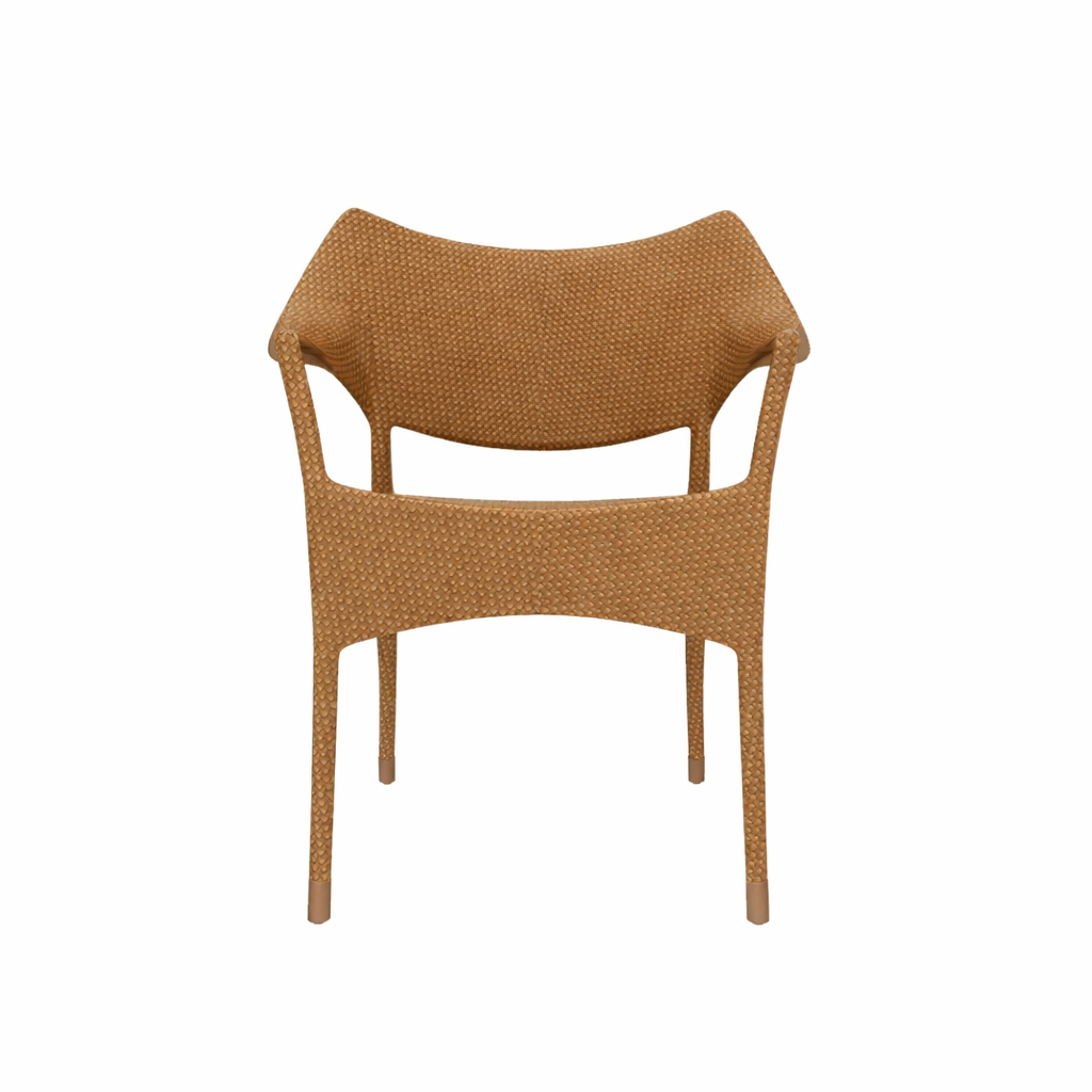 DINING ARMCHAIR WITH CUSHION (AHO/001/001)