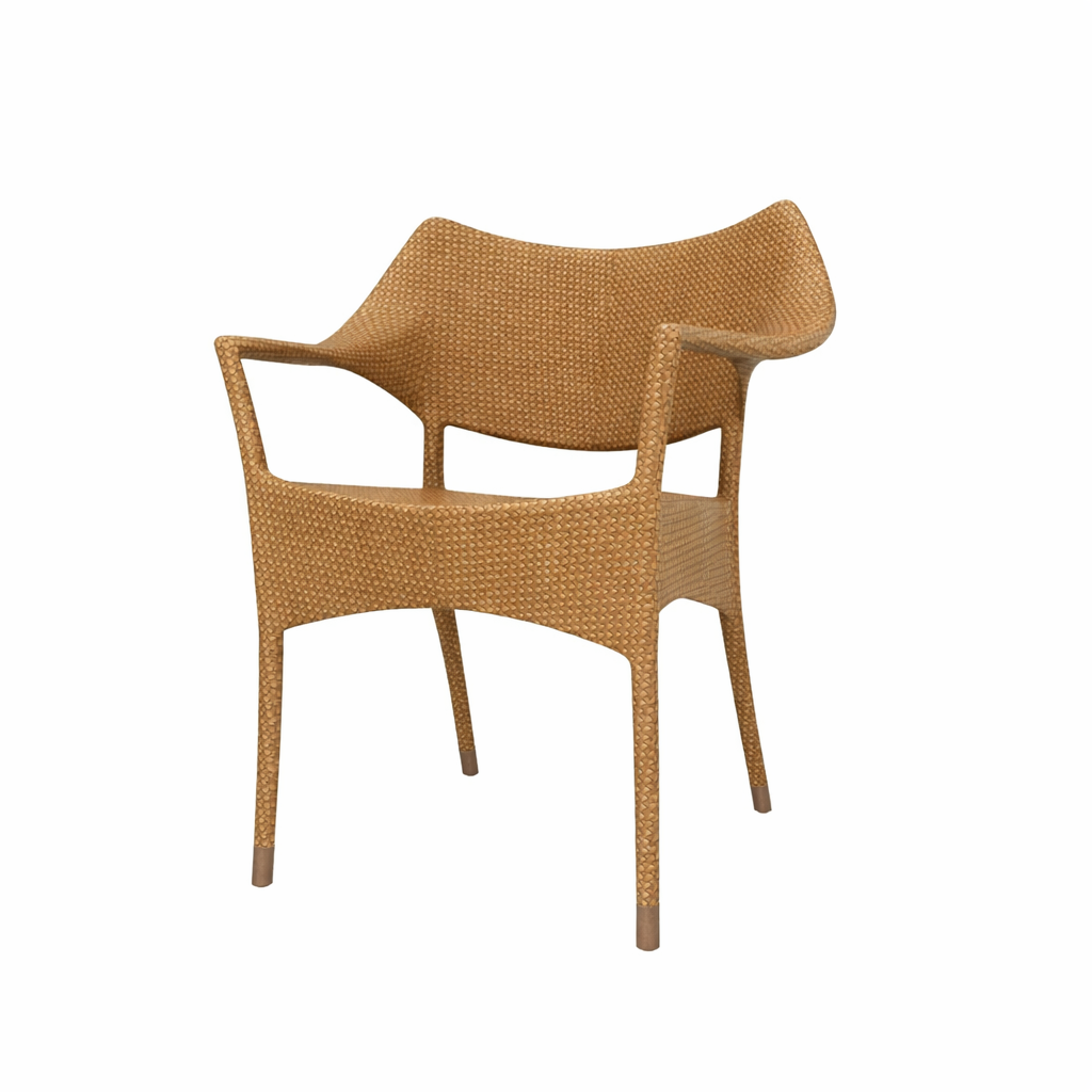 DINING ARMCHAIR WITH CUSHION (AHO/001/001)