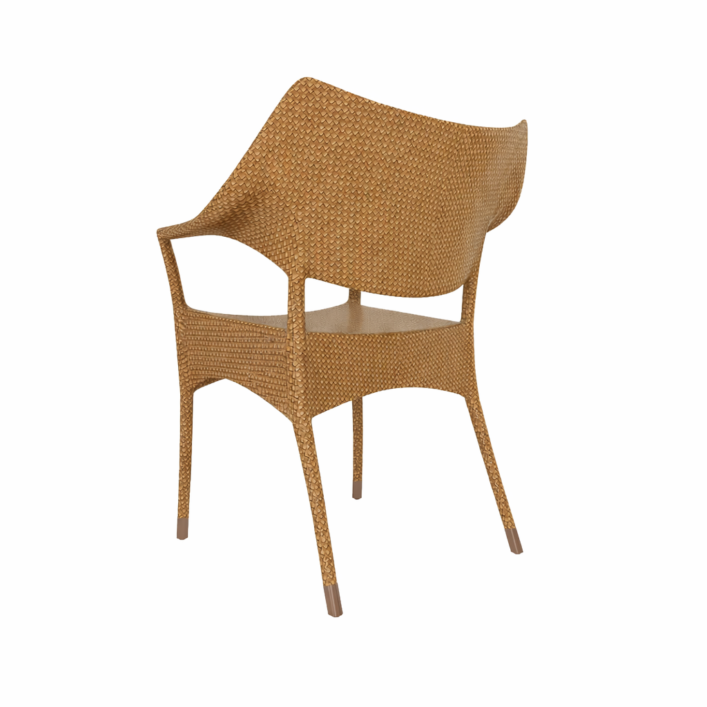 DINING ARMCHAIR WITH CUSHION (AHO/001/001)