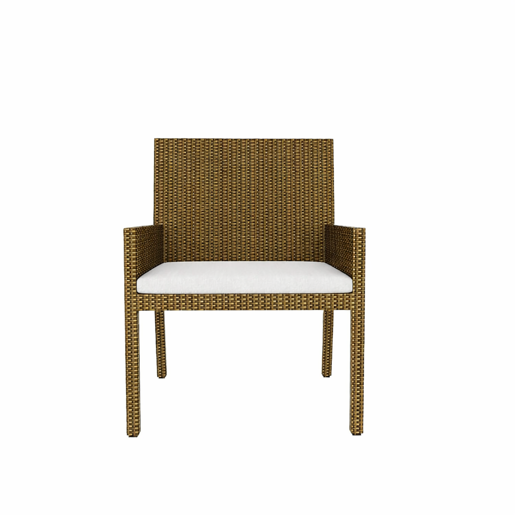 DINING ARMCHAIR WITH CUSHION (AHO/003/001)