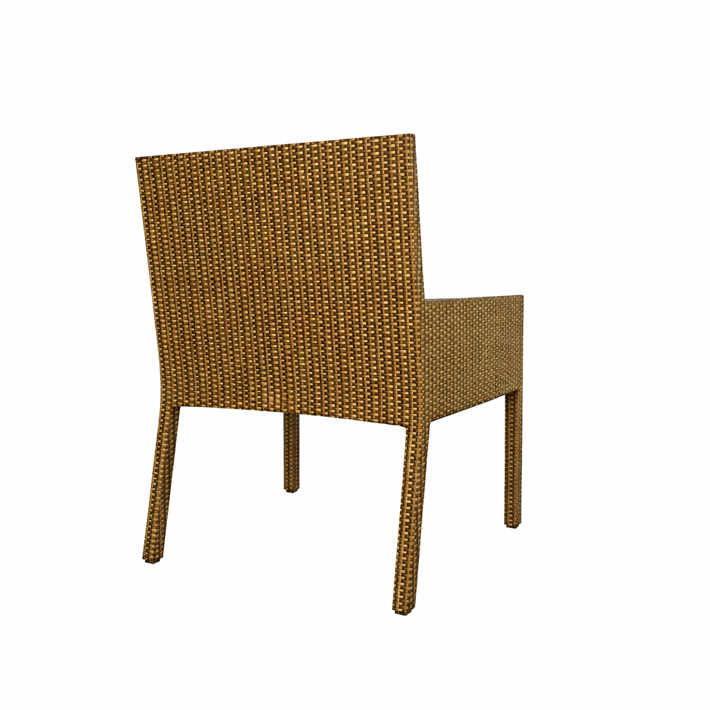 DINING ARMCHAIR WITH CUSHION (AHO/003/001)