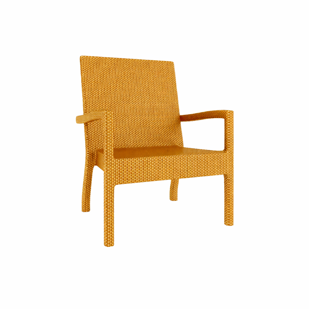 DINING ARMCHAIR WITH CUSHION (AHO/032/009)