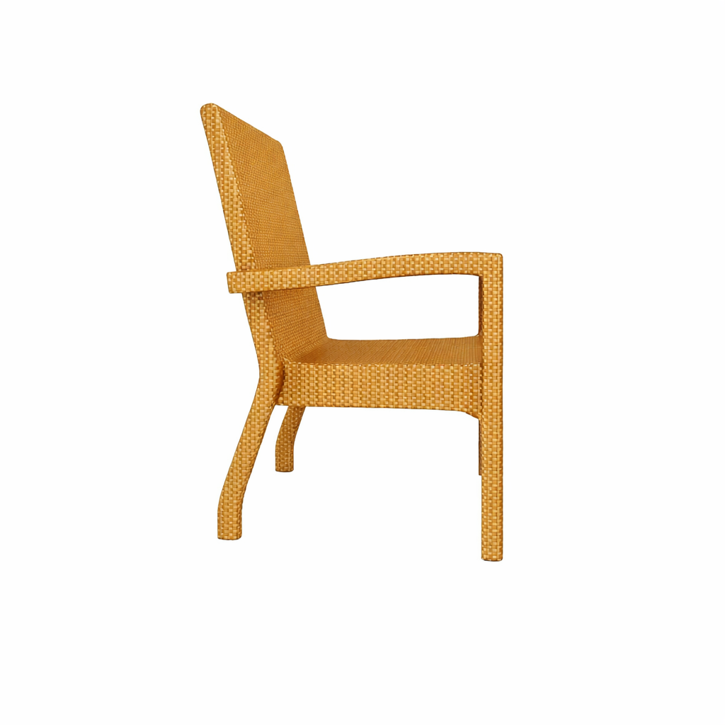 DINING ARMCHAIR WITH CUSHION (AHO/032/009)