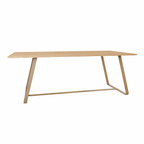 DINING TABLE WITH HPL TOP (AHO/034/006)