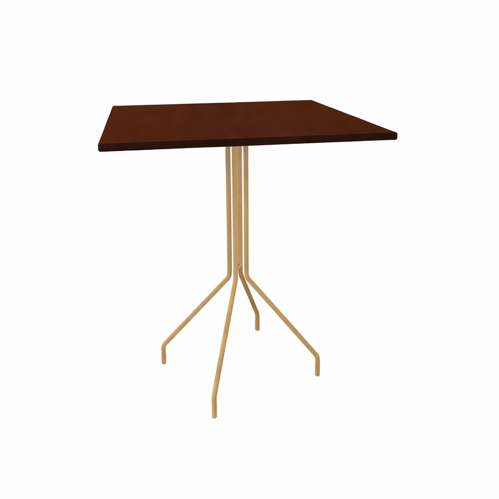 HIGH TABLE 4 LEGS WITH HPL TOP (AHO/014/027)