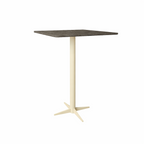 BAR TABLE WITH HPL TOP (AHO/034/005)