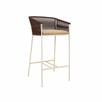 BAR STOOL WITH CUSHION (AHO/014/016)