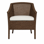DINING ARMCHAIR WITH CUSHION (AHOD/412/001)