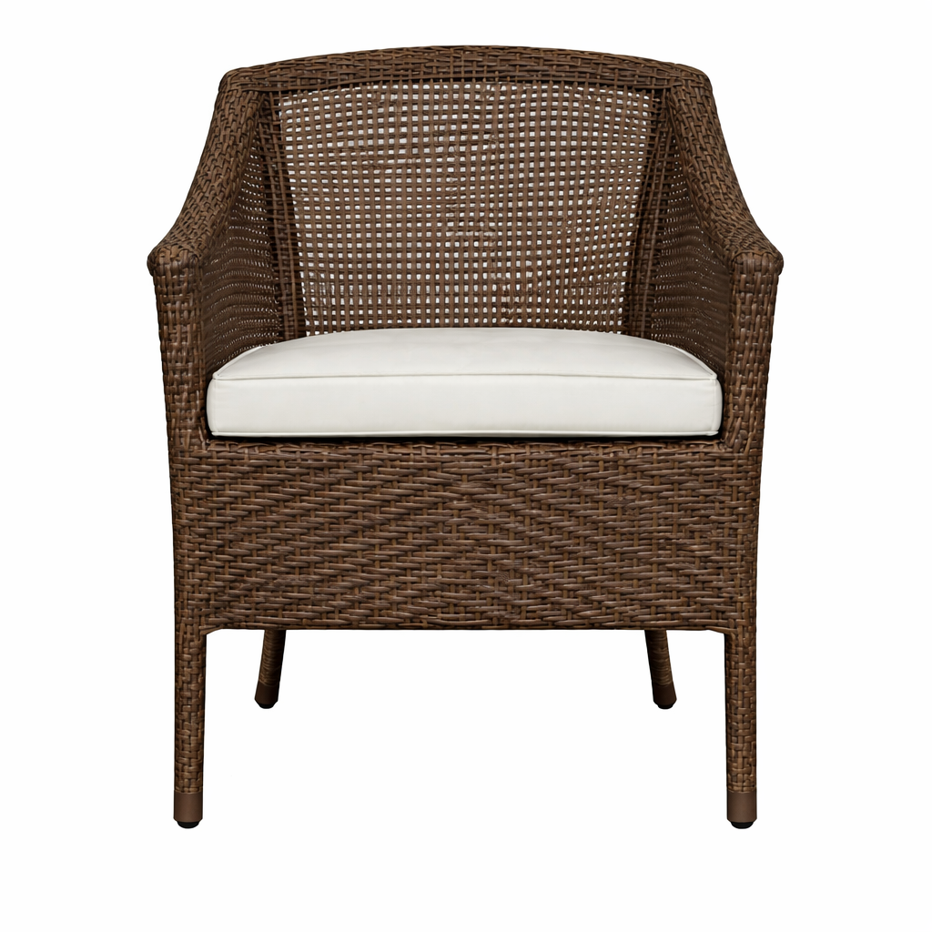 DINING ARMCHAIR WITH CUSHION (AHOD/412/001)