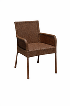 DINING ARMCHAIR WITH CUSHION (AHOD/165/001)