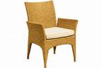 DINING ARMCHAIR WITH CUSHION (AHOD/145/001)