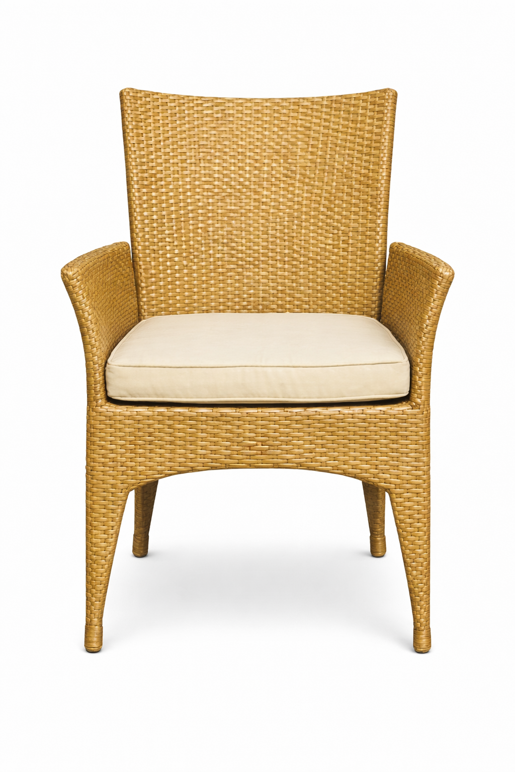 DINING ARMCHAIR WITH CUSHION (AHOD/145/001)