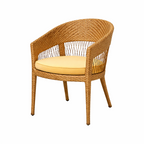 DINING ARMCHAIR WITH CUSHION (AHOD/605/001)
