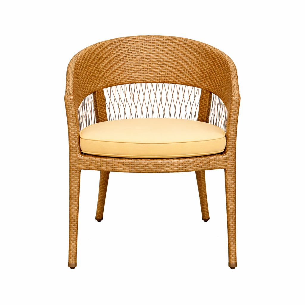 DINING ARMCHAIR WITH CUSHION (AHOD/605/001)