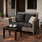 DOUBLE SEATER SOFA WITH CUSHIONS (AHOL/133/002)