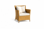SINGLE SEATER SOFA WITH CUSHION (AHOL/107/003)