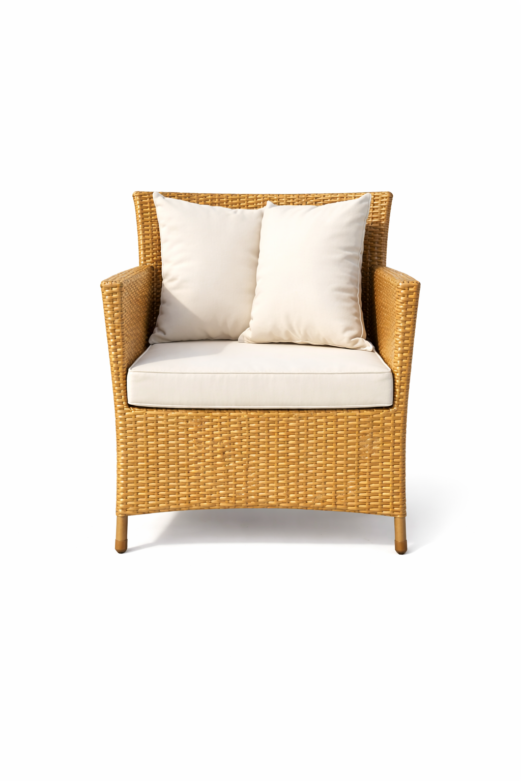 SINGLE SEATER SOFA WITH CUSHION (AHOL/107/003)