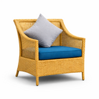 SINGLE SEATER SOFA WITH CUSHIONS (AHOL/412/003)