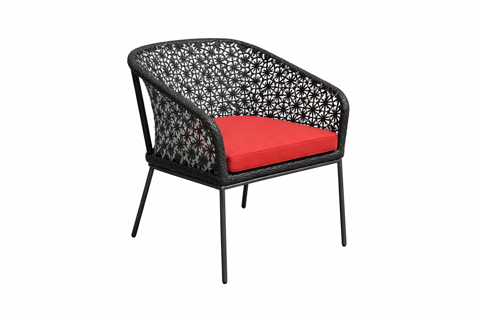 DINING ARMCHAIR WITH CUSHION (AHOD/202/001)