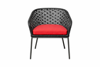 DINING ARMCHAIR WITH CUSHION (AHOD/202/001)