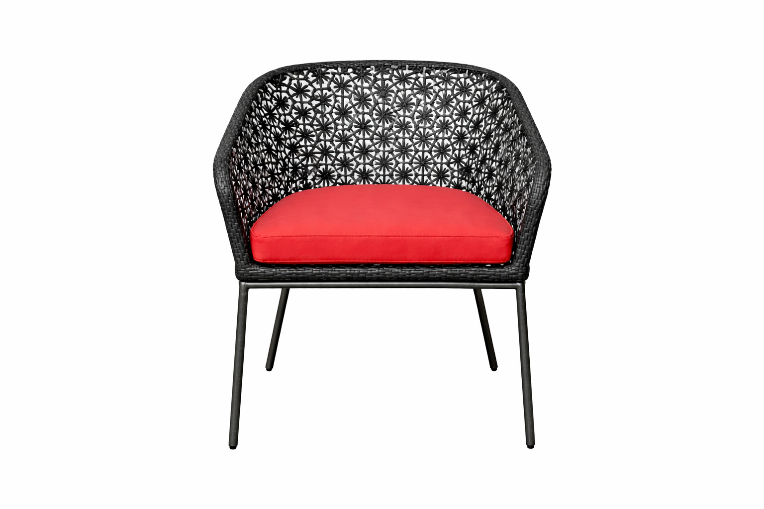 DINING ARMCHAIR WITH CUSHION (AHOD/202/001)