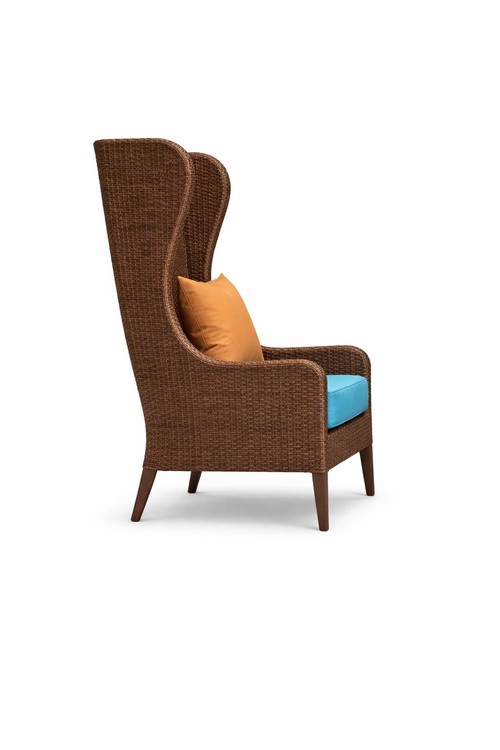 SINGLE SEATER SOFA WITH CUSHIONS (AHOL/190/002)