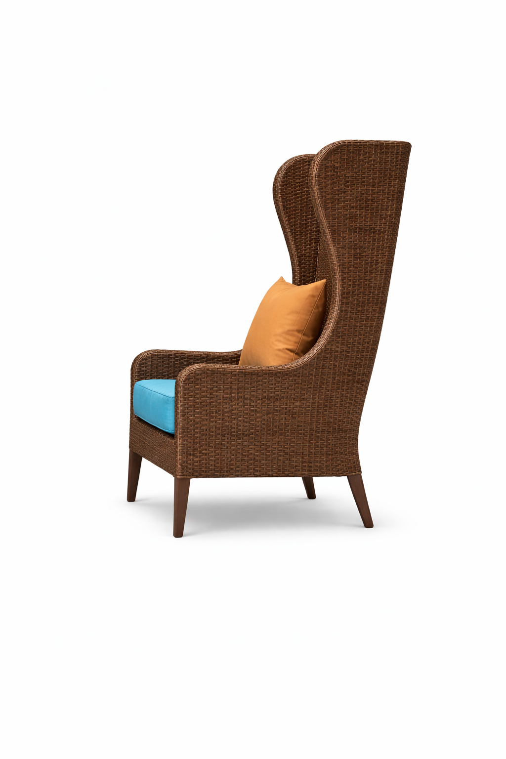 SINGLE SEATER SOFA WITH CUSHIONS (AHOL/190/002)