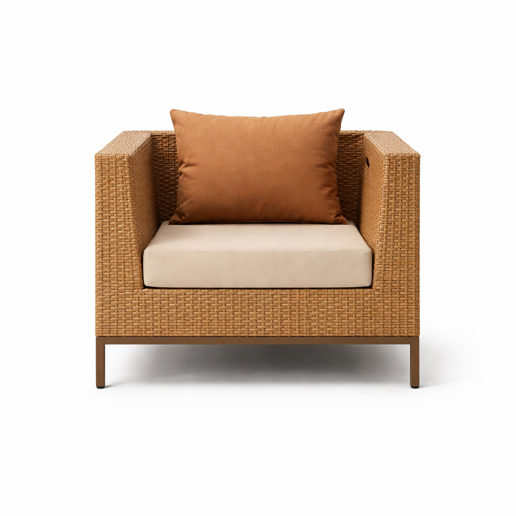 SINGLE SEATER SOFA WITH CUSHION (AHOL/189/003)