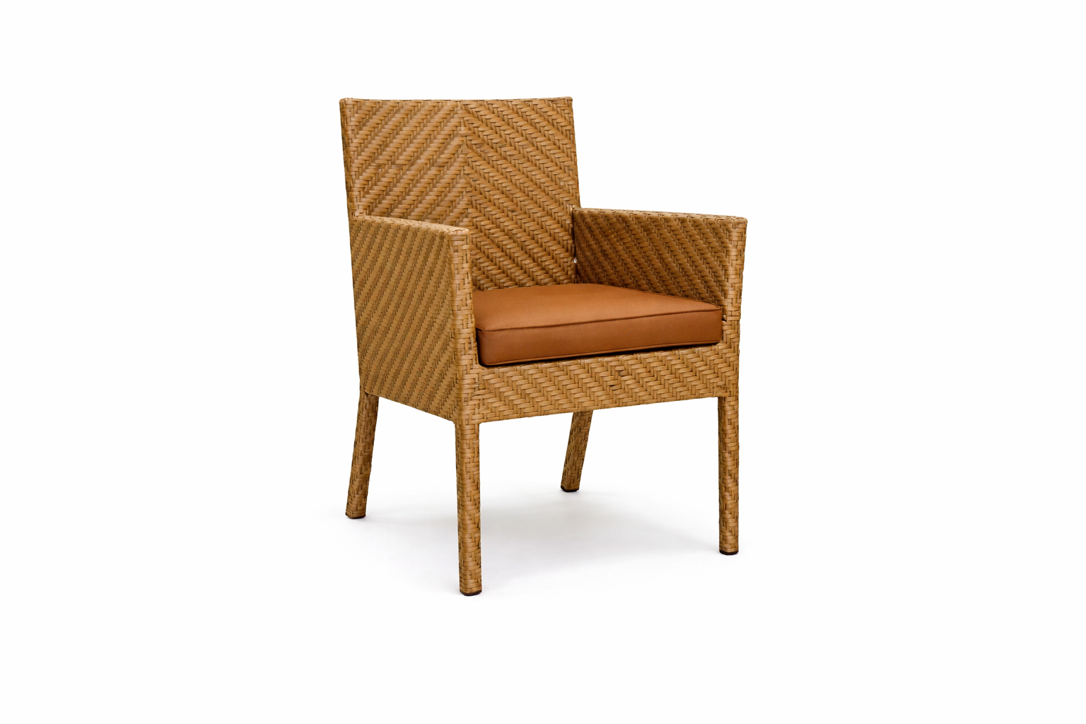 DINING ARMCHAIR WITH CUSHION (AHOD/141/001)
