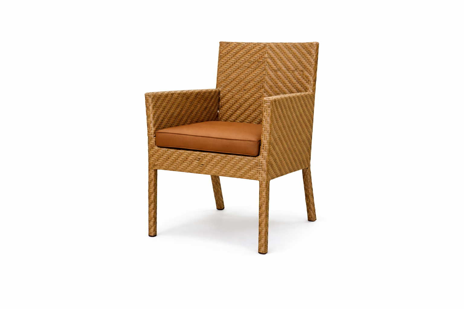 DINING ARMCHAIR WITH CUSHION (AHOD/141/001)