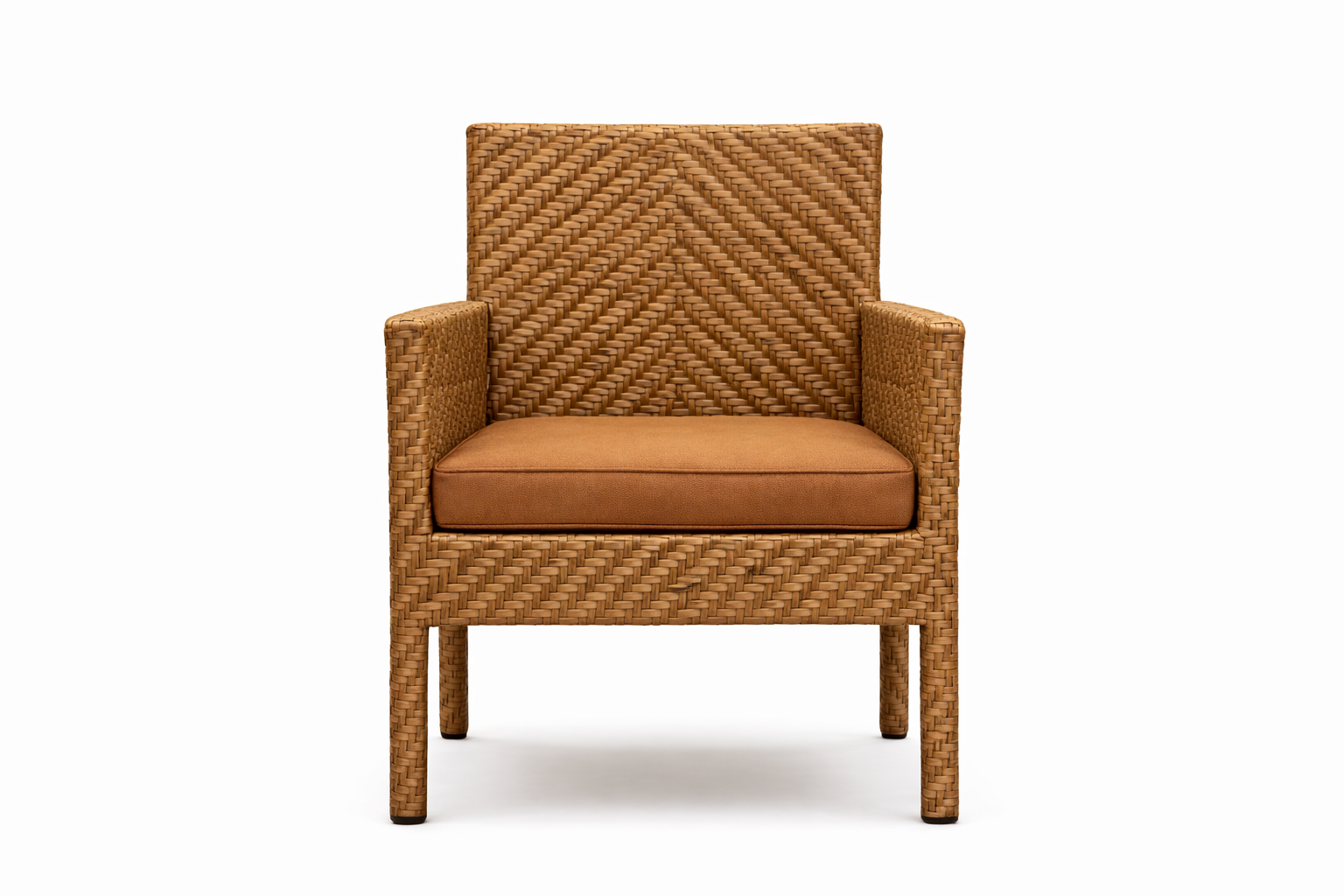 DINING ARMCHAIR WITH CUSHION (AHOD/141/001)