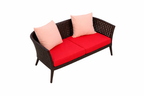 DOUBLE SEATER SOFA WITH CUSHION (AHOL/184/002)