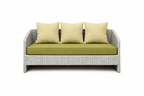 DOUBLE SEATER SOFA WITH CUSHIONS (AHOL/191/001)