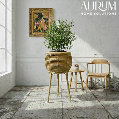 Whimsy Rattan Planter with Tripod Stand for Modern Decor