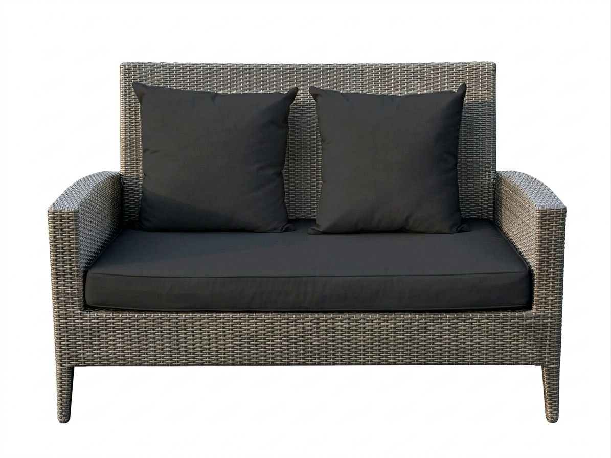 DOUBLE SEATER SOFA WITH CUSHIONS (AHOL/133/002)