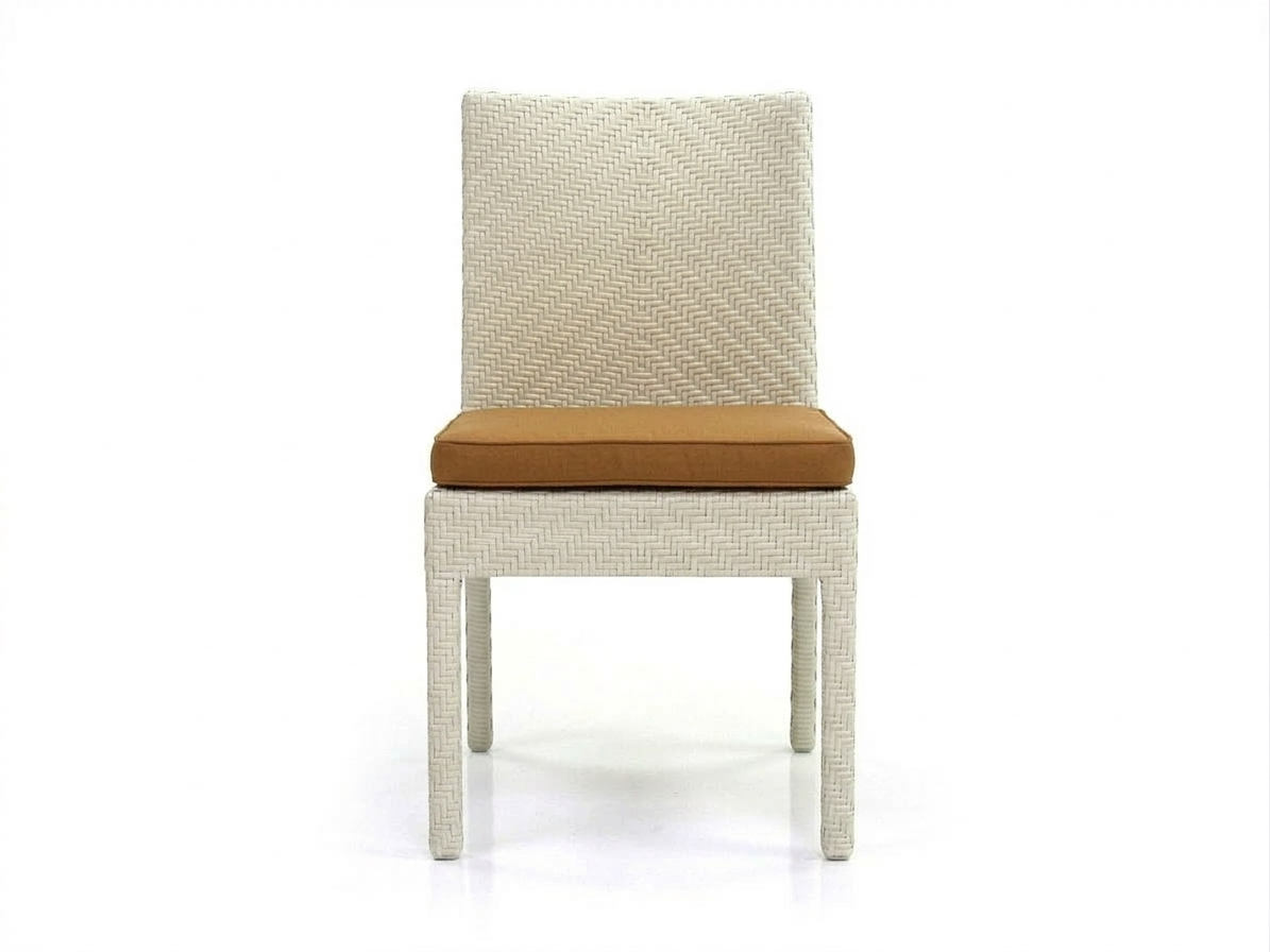 DINING CHAIR WITH CUSHION (AHOD/141/002)
