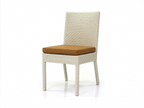DINING CHAIR WITH CUSHION (AHOD/141/002)