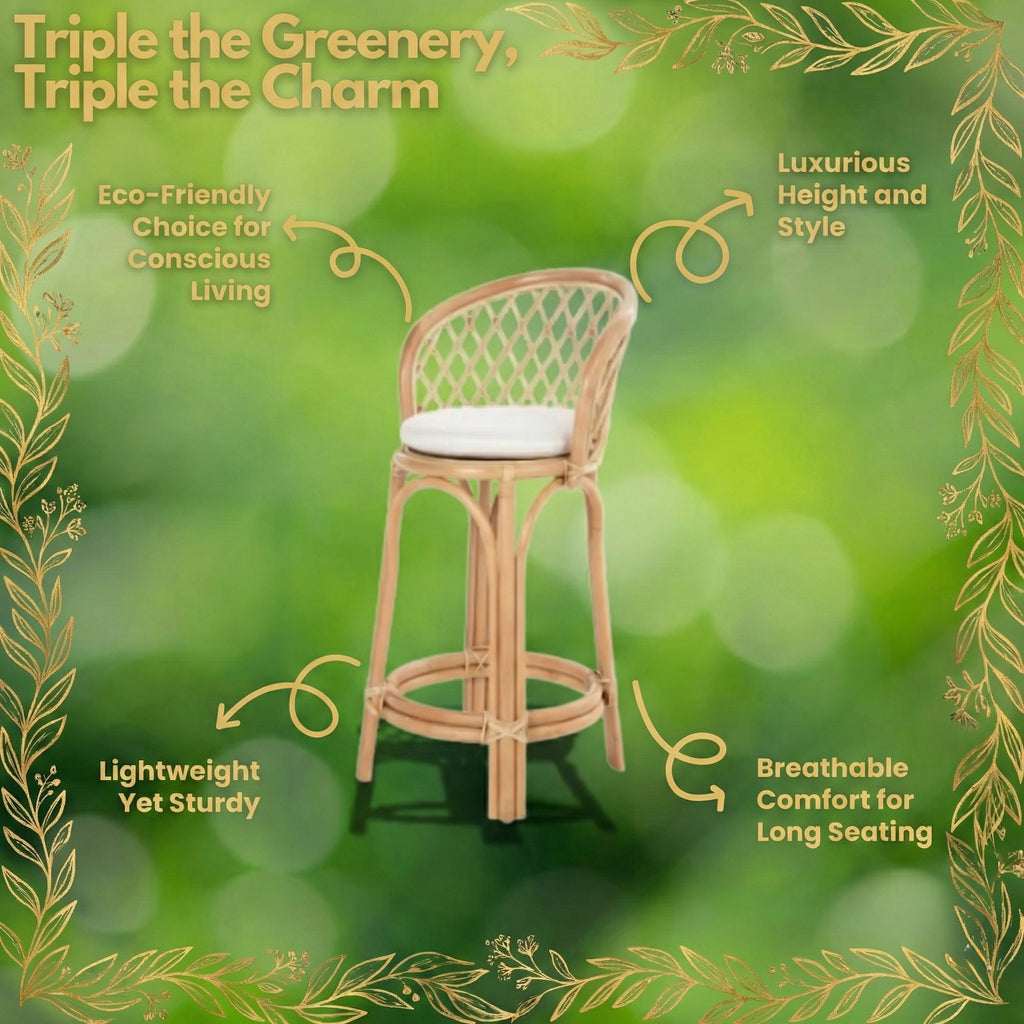 Cane Bar Chair with Breezy Seat for Homes & Venues