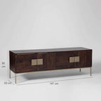 Modern Mango Wood TV Console with Brass Accents