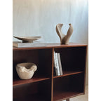 Modern Rosewood Bookshelf