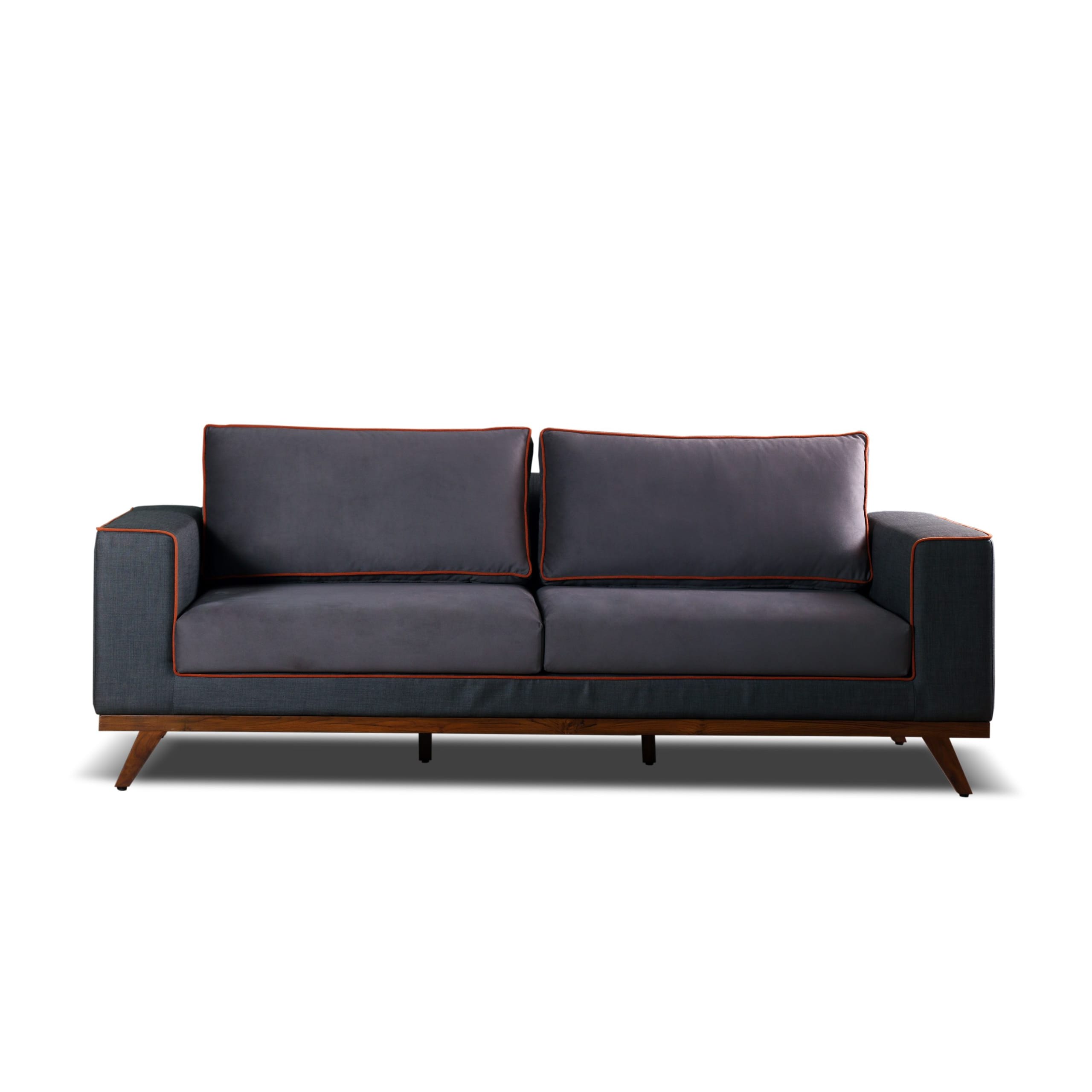 Modern Comfort Sofa
