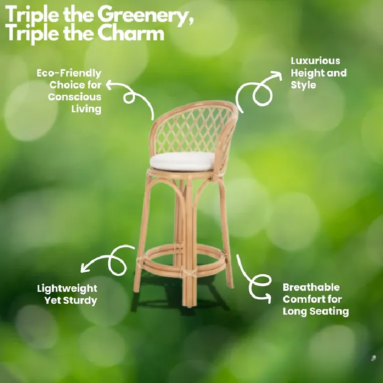 Cane Bar Chair with Breezy Seat for Homes & Venues